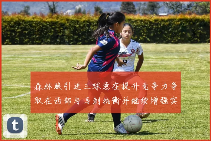 森林狼引进三球意在提升竞争力争取在西部与马刺抗衡并继续增强实力