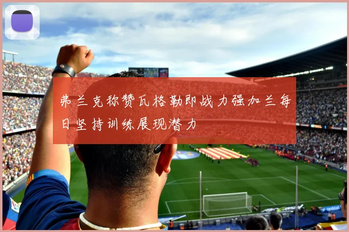 弗兰克称赞瓦格勒即战力强加兰每日坚持训练展现潜力