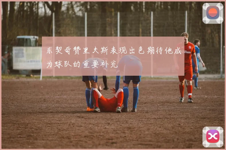 东契奇赞里夫斯表现出色期待他成为球队的重要补充